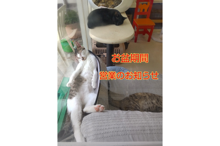 SnapMarkup_20242210_122247~2