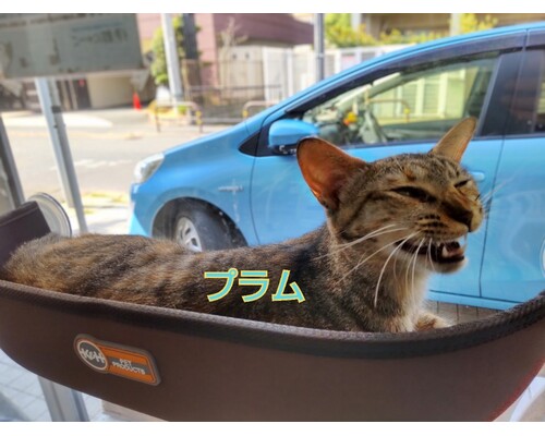 SnapMarkup_20242915_072918