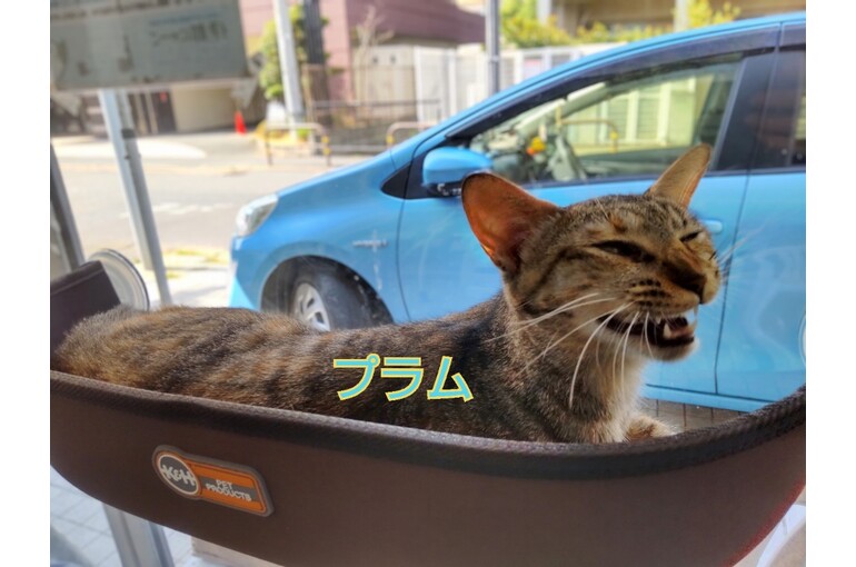 SnapMarkup_20242915_072918