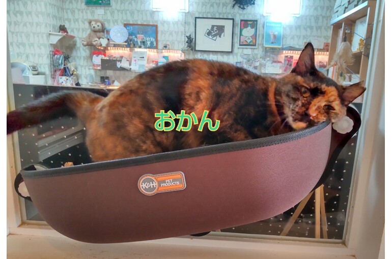SnapMarkup_20244013_064042