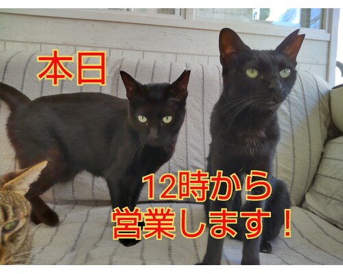 SnapMarkup_20240830_100845