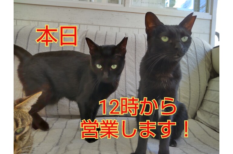 SnapMarkup_20240830_100845