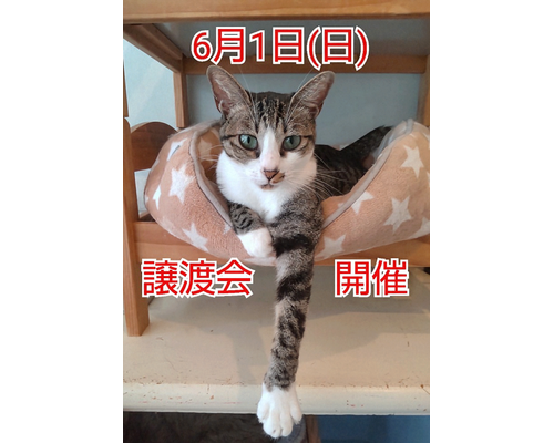 SnapMarkup_20240029_100042~2
