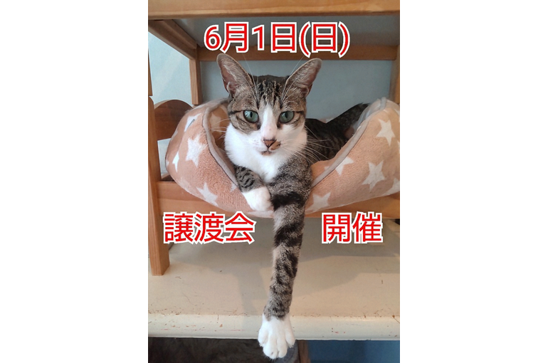 SnapMarkup_20240029_100042~2