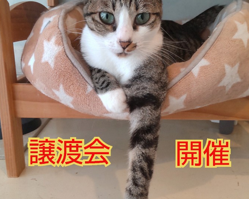 SnapMarkup_20241231_031207