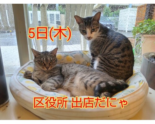 SnapMarkup_20245605_055603