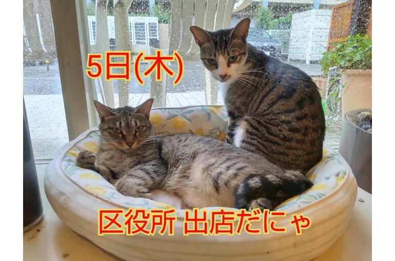 SnapMarkup_20245605_055603