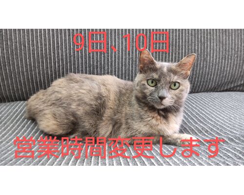 DSC_4000~3