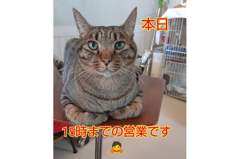 SnapMarkup_20245721_115759