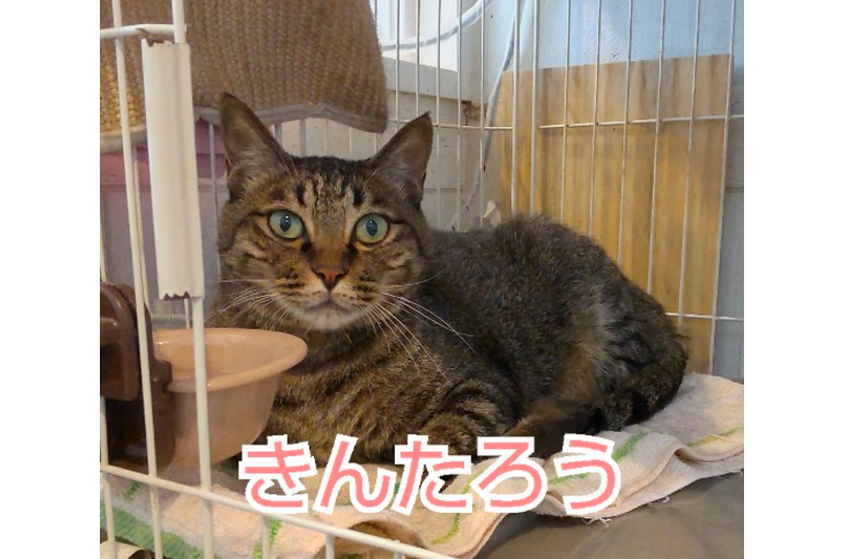 SnapMarkup_20241322_121304