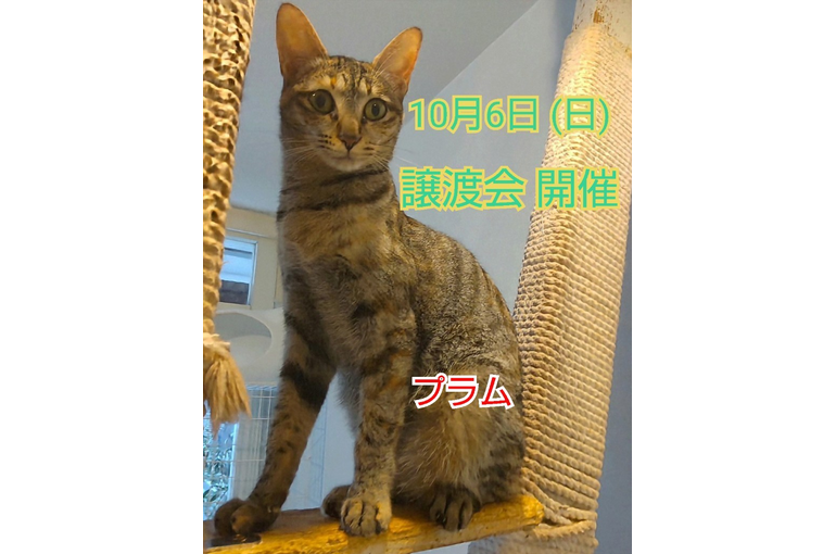 SnapMarkup_20240129_010132