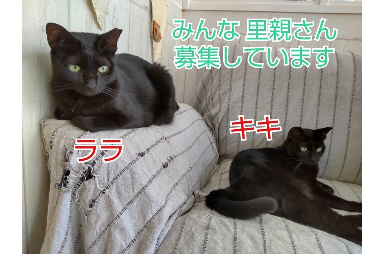 SnapMarkup_20243904_013900