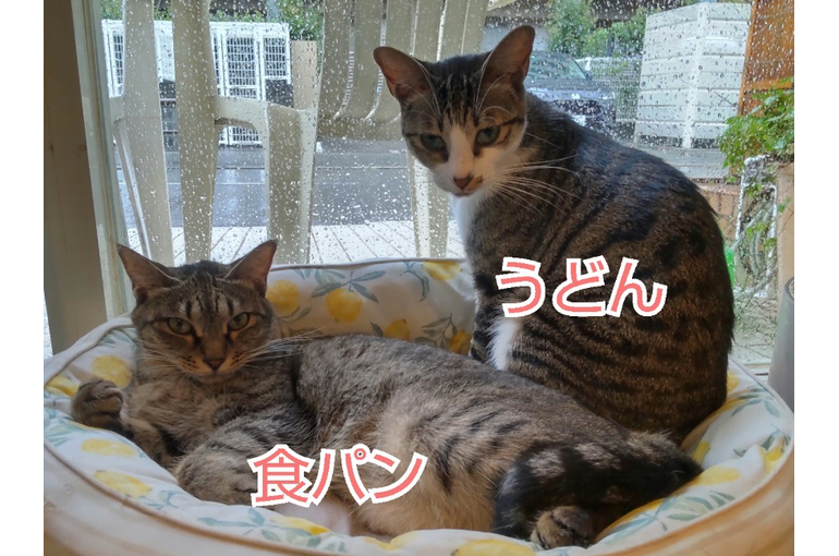 SnapMarkup_20242929_122956