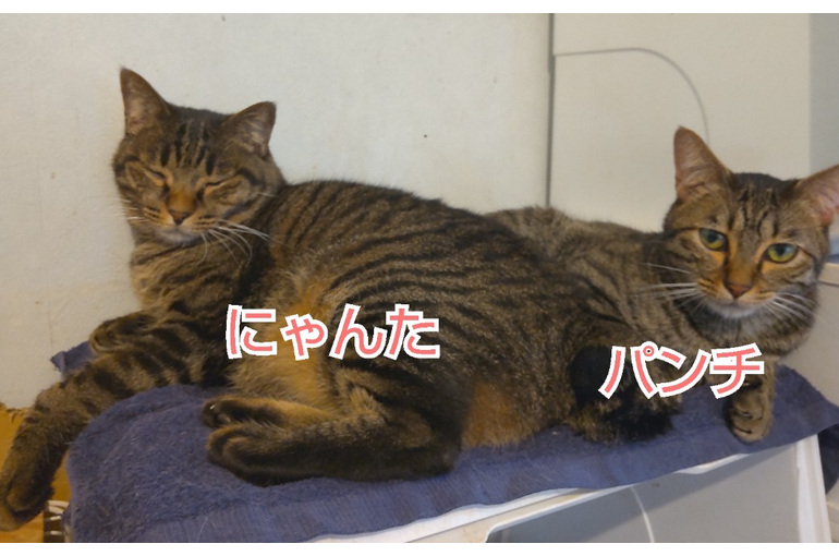 SnapMarkup_20243429_123435