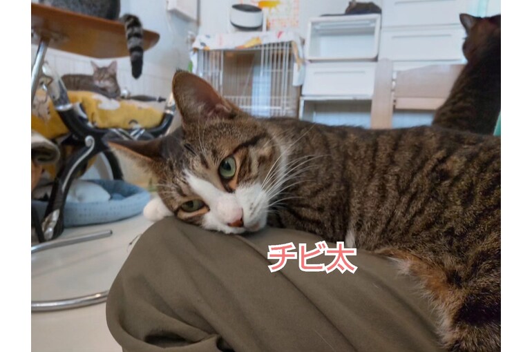 SnapMarkup_20240528_070519