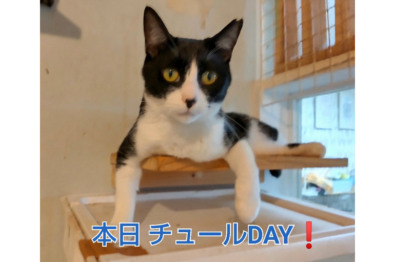 SnapMarkup_20245722_115725