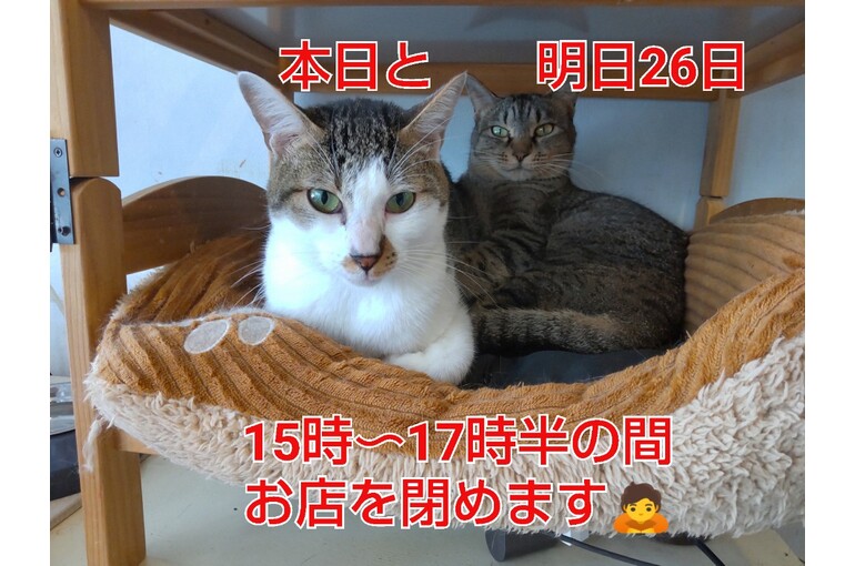 SnapMarkup_20245325_115332