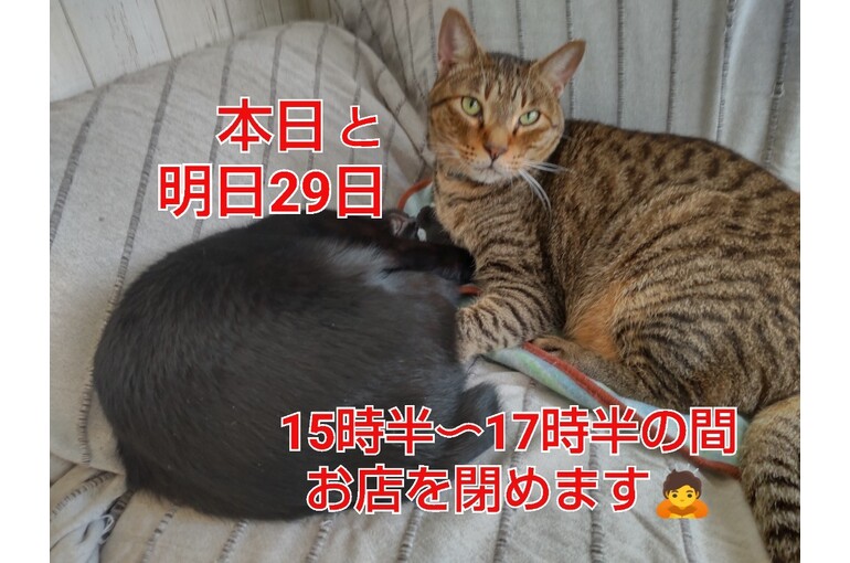SnapMarkup_20243128_123126