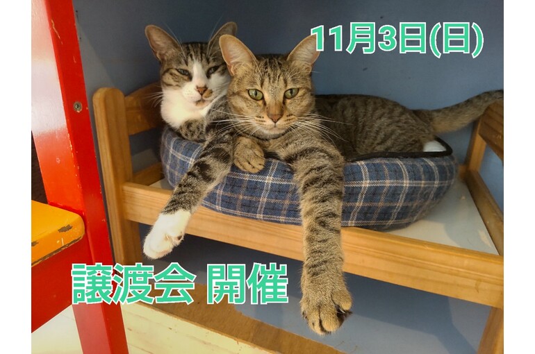SnapMarkup_20243701_033709