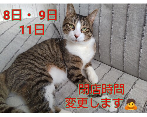 SnapMarkup_20244808_124847