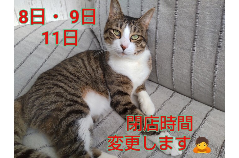 SnapMarkup_20244808_124847