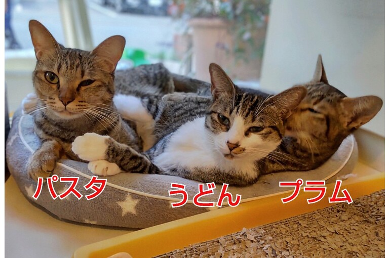 SnapMarkup_20245209_115250