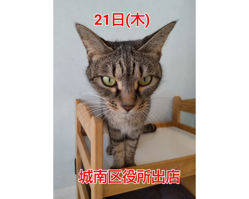 SnapMarkup_20242216_112242