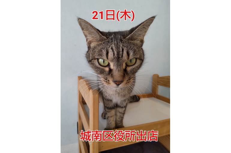 SnapMarkup_20242216_112242