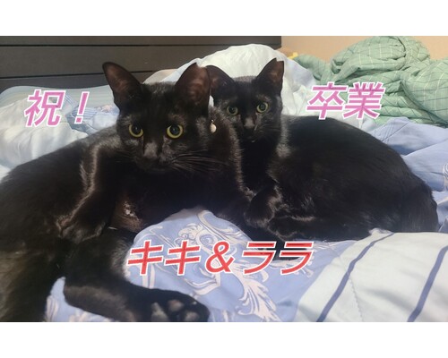 SnapMarkup_20243518_013511