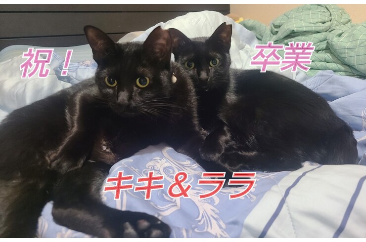 SnapMarkup_20243518_013511