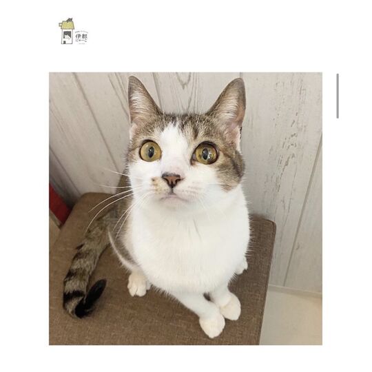 BCEE6385-74ED-4587-AE2C-B5ADE2CA6042