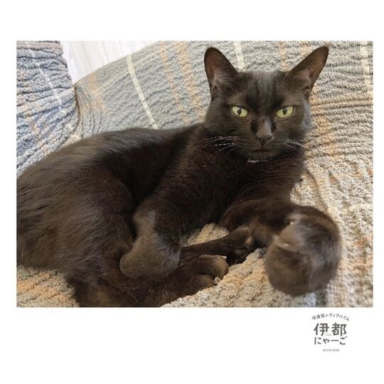 CADC250E-AFB0-47B5-9D8F-2546B9E2FD21