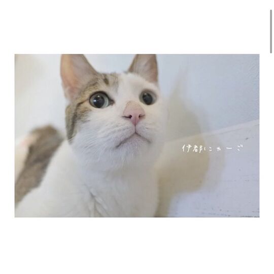 E00A93A9-3B65-4404-97EC-247BF8996778