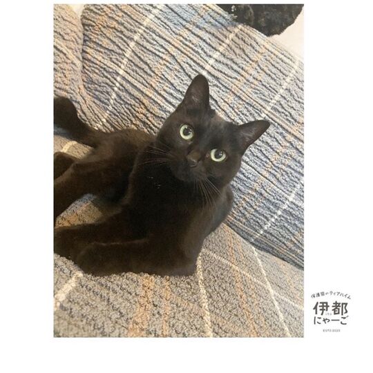 D642CA9C-1E84-4907-95AF-DFF7967EDB2B