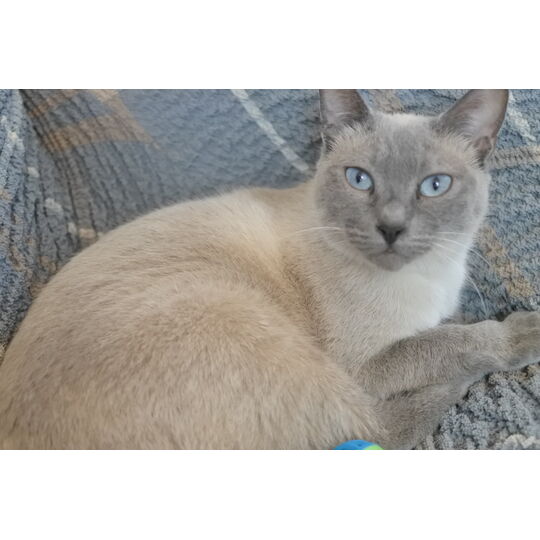 DFD6799F-2497-4B9E-9777-2DFA1D2D80FC