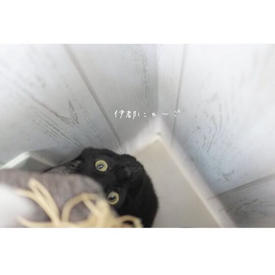 F4180A96-AE09-4204-9ADD-59DFDFEEDAB9