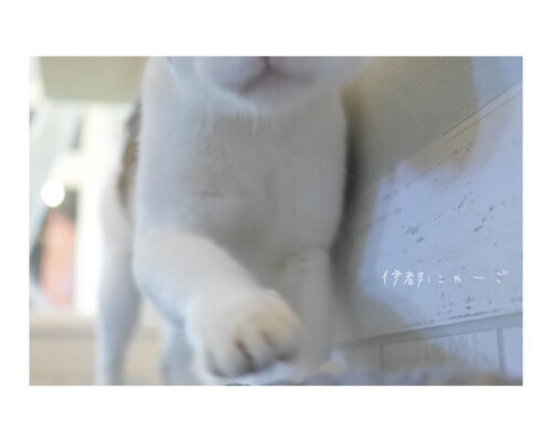 CA2FD95C-3C2C-46DC-B197-3F1D41B49C4A