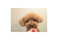 128DEF17-D213-4923-BE9C-506E56BC8439