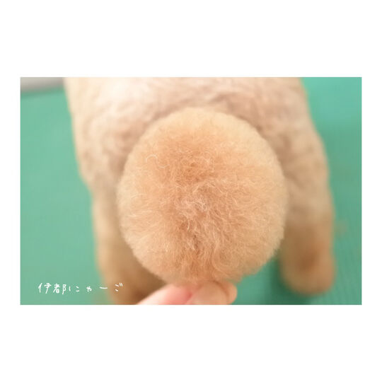 7FC36F16-7A0A-4322-8A9A-A5564D0642CE