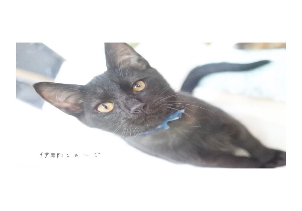 024896D2-386C-4690-91F8-7011FB6CC540