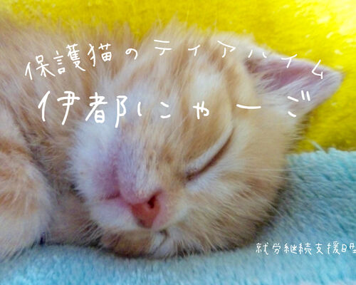 F1C3F20D-382B-4567-9C13-D7EC7BDE6864