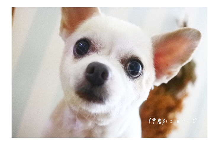 2BE8D62B-43C3-4282-A538-3CFDD7C07AB3