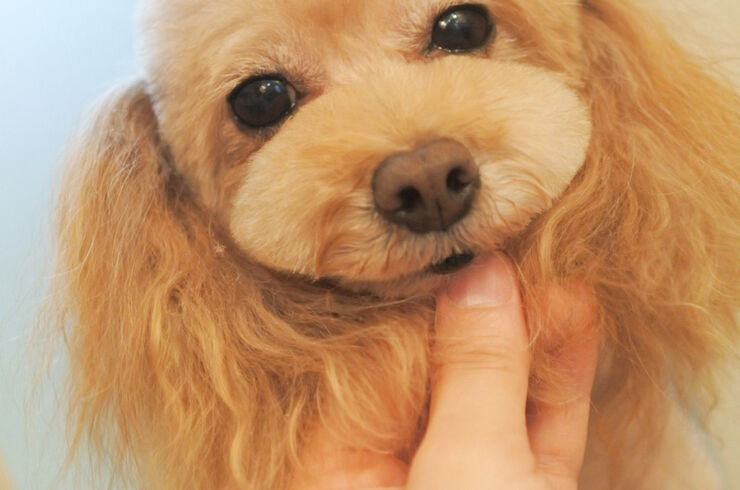 78220EA3-F705-446E-8BA4-38F509D5A75B