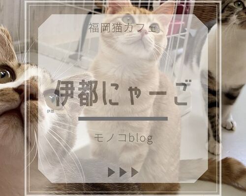 699018BE-241C-480D-8760-50F644FD8FFA