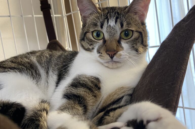 A3550325-F005-4980-B467-79472B62E049