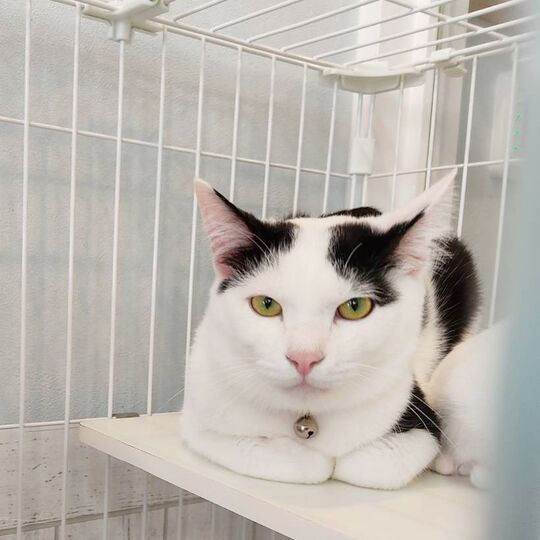 D38BA038-88A9-4288-94DC-EA32742BBBF1