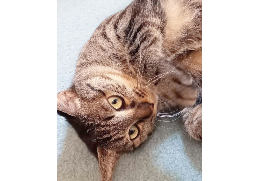 AADB79B0-FC98-48CC-AB72-F21C7124E3FE