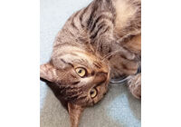 AADB79B0-FC98-48CC-AB72-F21C7124E3FE