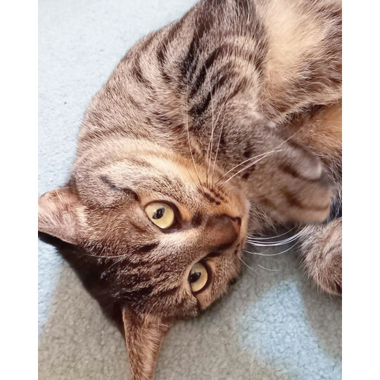 AADB79B0-FC98-48CC-AB72-F21C7124E3FE