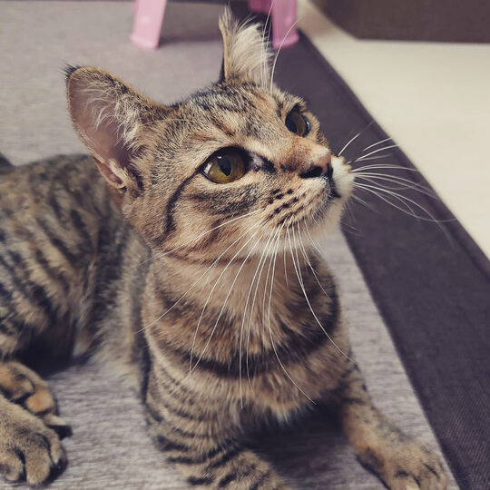 5423EF19-808A-4C57-8A9C-8BBD8023F9B4